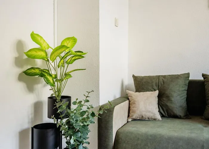 Unique Experience Budapesta